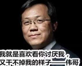 卓伟爆料成毅刘烨视频是真的吗,成毅刘烨视频真实性引发热议