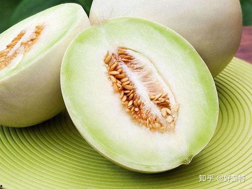 兰州最新瓜爆料,揭秘最新瓜种背后的故事 第3张 兰州最新瓜爆料,揭秘最新瓜种背后的故事 第3张